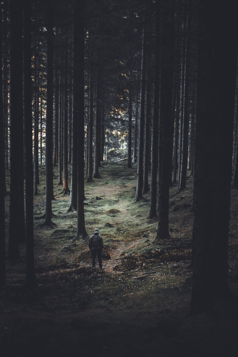 The Path